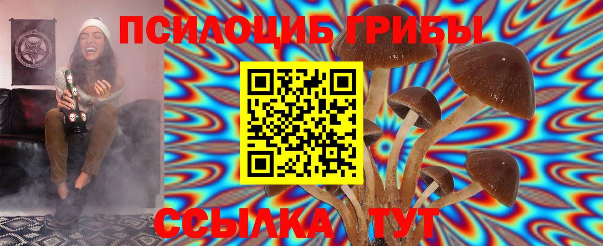наркошоп  Вход с VPN  Семёнов  Псилоцибиновые грибы прущие грибы  Галлюциногенные грибы прущие грибы 